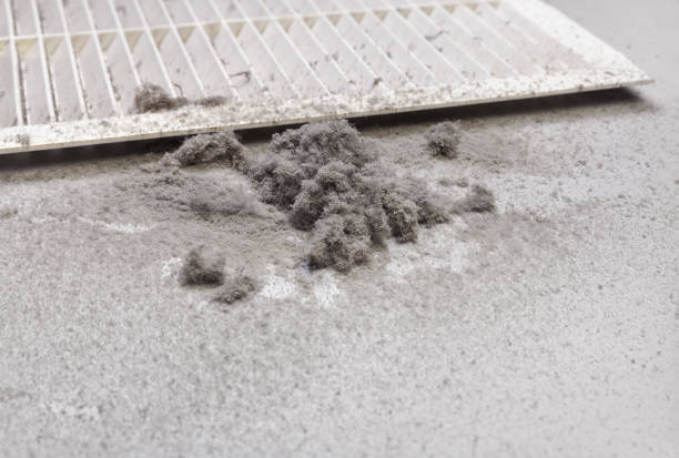 Best Air Duct Cleaning Company Near Me  in Woodmore, MD
